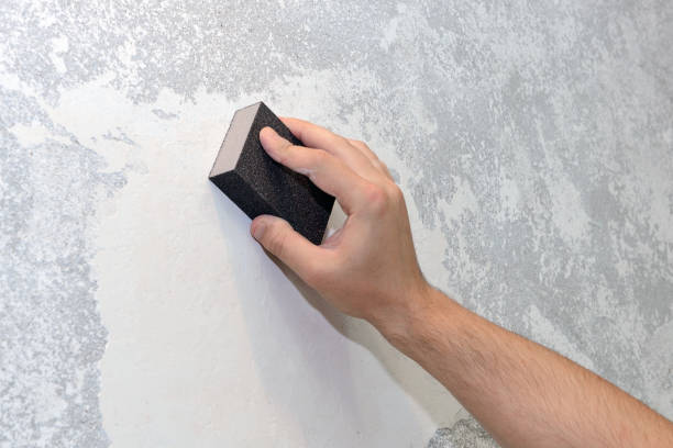 Best Industrial Mold Remediation  in Holly Hill, SC