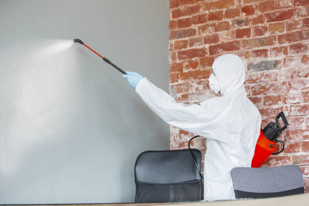 Best Mold-Related Health Consultation  in Holly Hill, SC