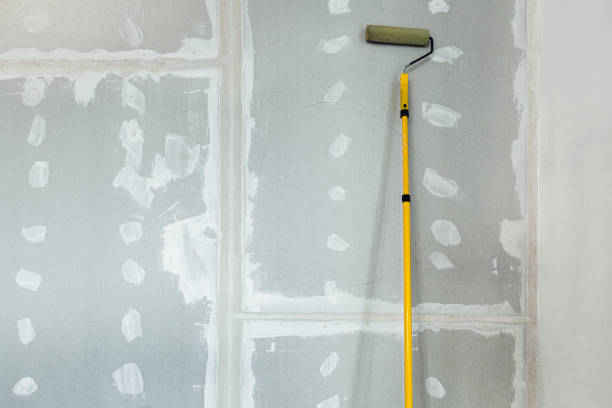 Best Mold Damage Restoration  in Holly Hill, SC