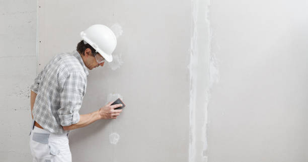 Best Emergency Mold Remediation  in Holly Hill, SC