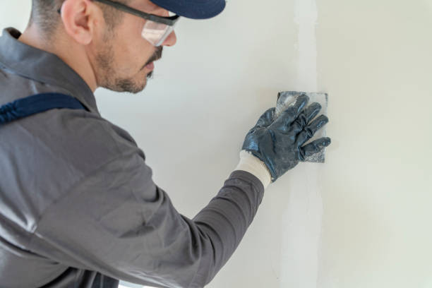Best Forensic Mold Investigation  in Holly Hill, SC