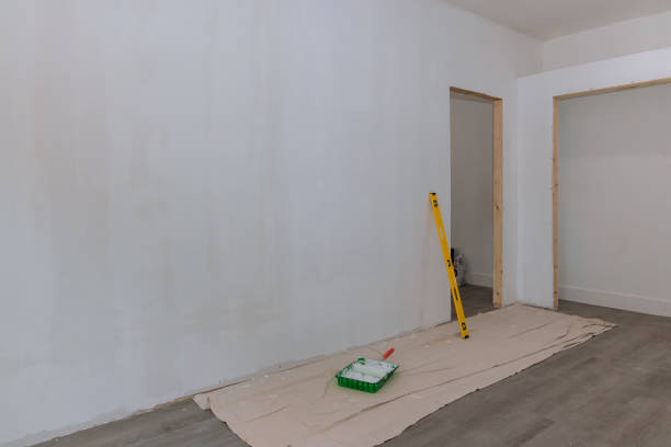 Best Residential Mold Inspection & Testing  in Holly Hill, SC