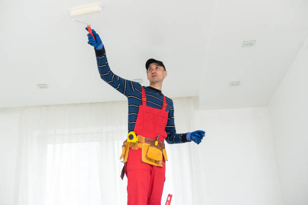 Best Black Mold Removal  in Holly Hill, SC