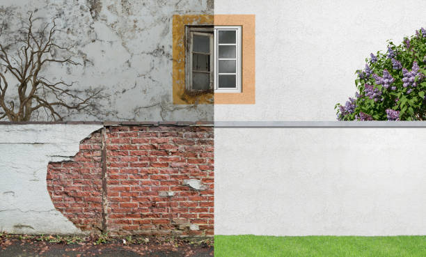 Best Mold Prevention Services  in Holly Hill, SC