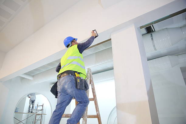 Best Mold Remediation for Healthcare Facilities  in Holly Hill, SC