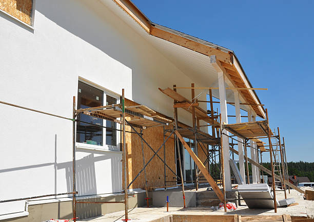 Best Emergency Mold Remediation  in Holly Hill, SC