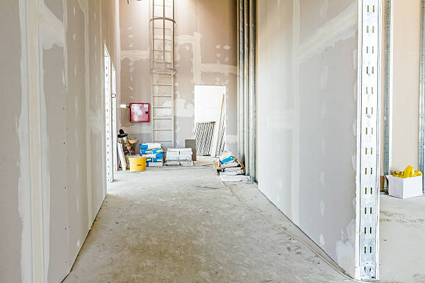 Best HVAC Mold Inspection and Cleaning  in Holly Hill, SC